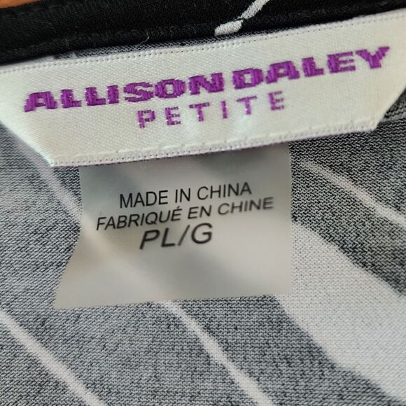 ALLISON DALEY WOMEN'S V NECK BAT WING SLEEVE TOP SIZE LARGE PETITE - Picture 7 of 8